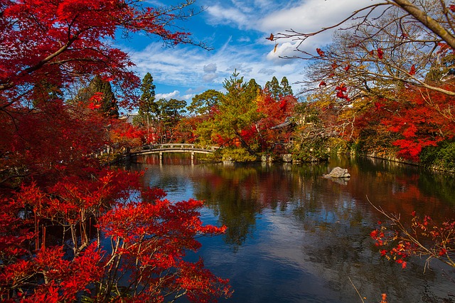 京都紅葉の庭園
