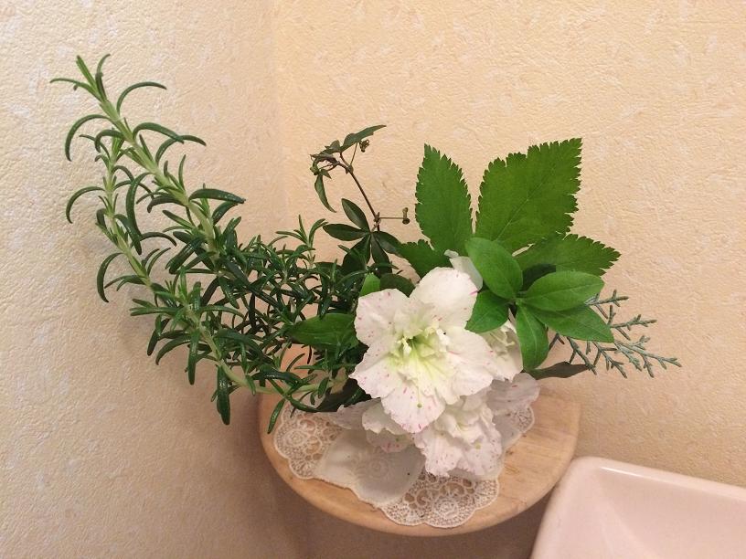 アザレアのトイレの花