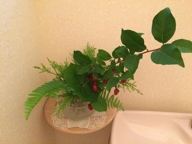 グミの木とグリーンのトイレの花