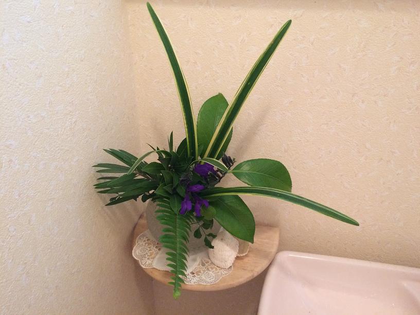 グリーンのトイレの花