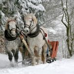 雪の中の馬車