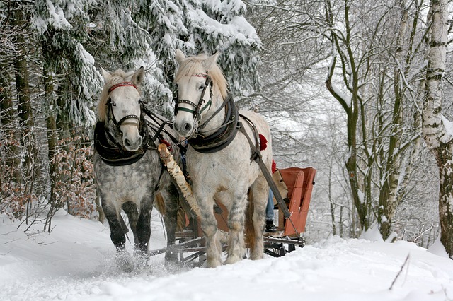 雪の中の馬車